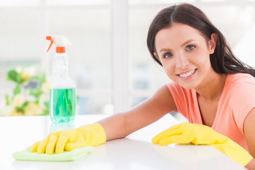 Carpet cleaning quote discussion for a home in Upper Norwood