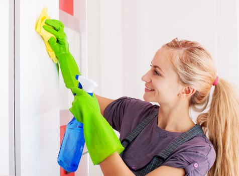 Carpet cleaning service introduction in Upper Norwood home interior