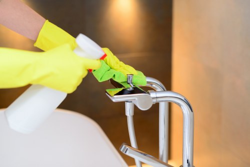 Professional pet stain odour removal in an Upper Norwood home