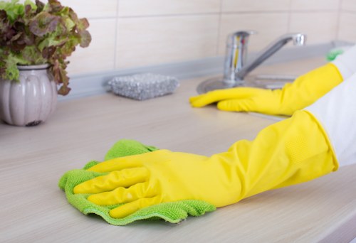Professional carpet cleaner discussing booking details and access requirements