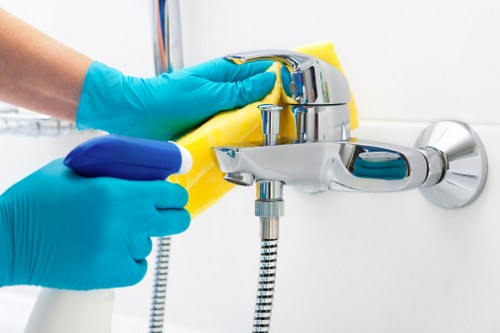 Deep cleaning treatment for lingering pet odours in a local property