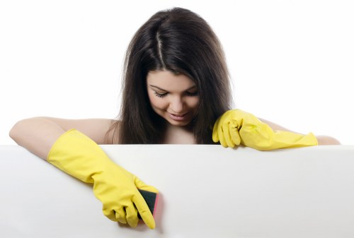 Upper Norwood carpet cleaning team focusing on quality and detail