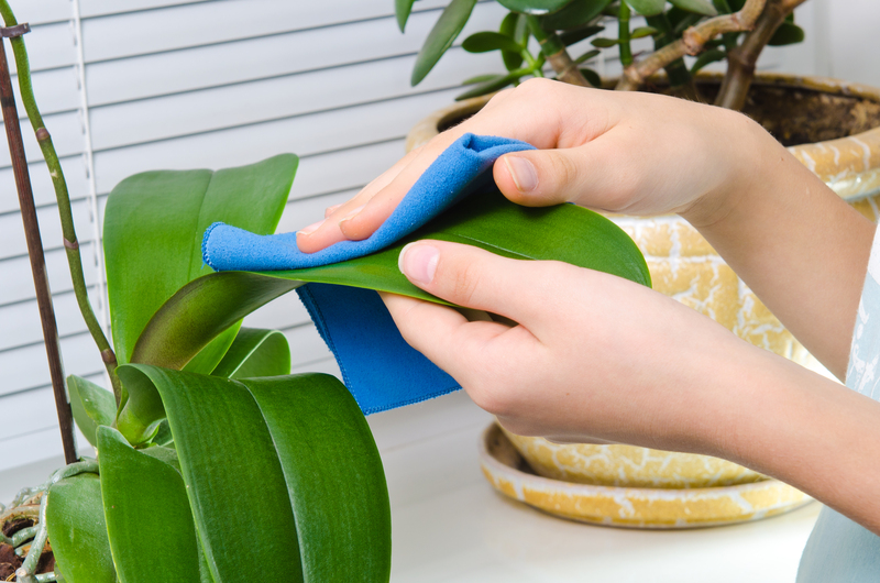 house cleaning tenancy cleaning